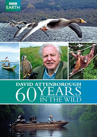 60 Năm Trong Hoang Dã - Attenborough: 60 Years In The Wild