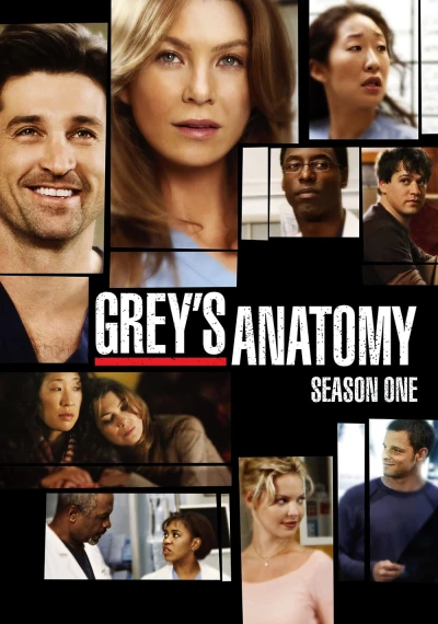 Ca Phẫu Thuật Của Grey (Phần 1) - Grey's Anatomy (Season 1)