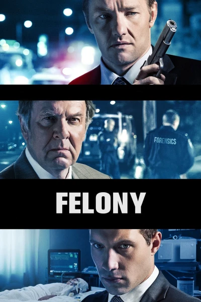 Felony - Felony