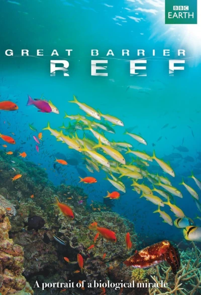 Great Barrier Reef - Great Barrier Reef