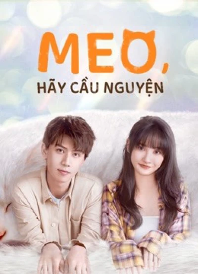 Meo, Hãy Cầu Nguyện - Make a wish