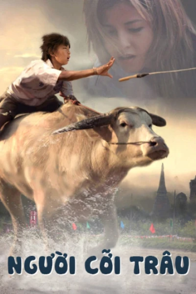 Người Cỡi Trâu - Buffalo Rider