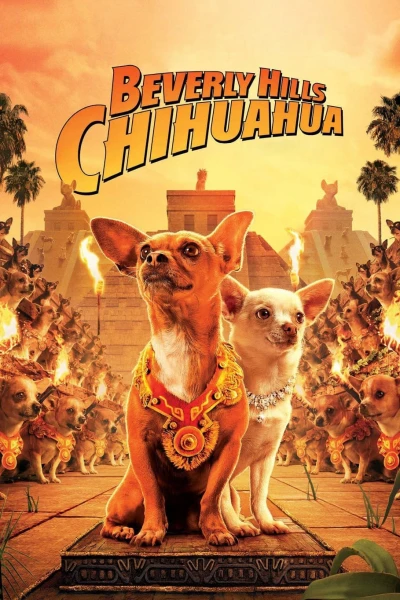 Những Chú Chó Chihuahua - Beverly Hills Chihuahua