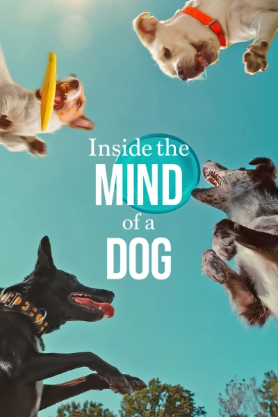 Những chú chó nghĩ gì - Inside the Mind of a Dog